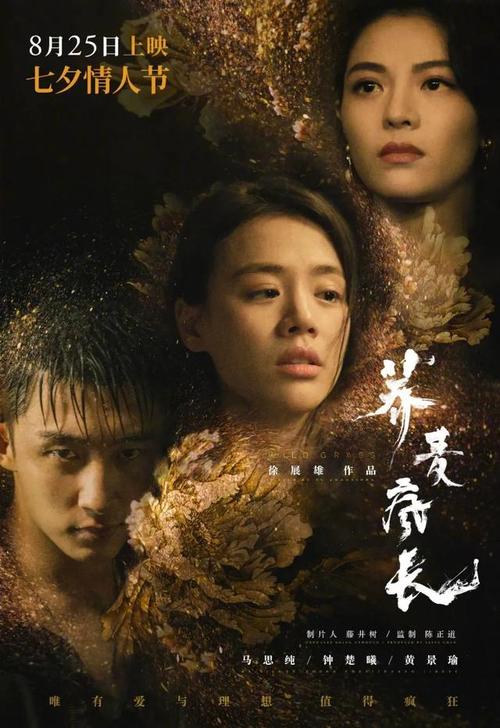 中阿肯色大学成绩单电子图